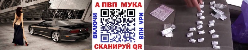 как найти наркотики  Шенкурск  Alfa_PVP СК 