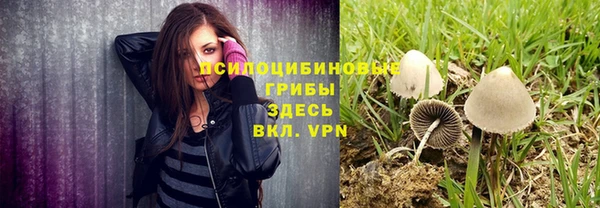 мет Верея