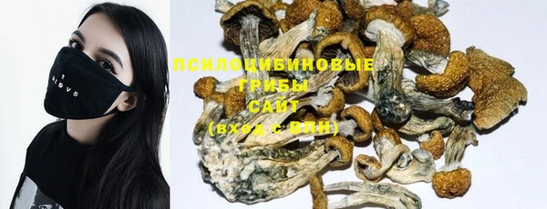 марки nbome Верхний Тагил