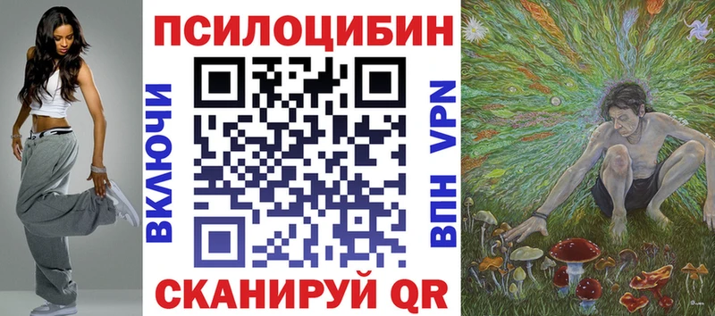 это формула  kraken вход  Шенкурск  Псилоцибиновые грибы мицелий 