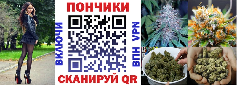 Бошки марихуана THC 21% Шенкурск
